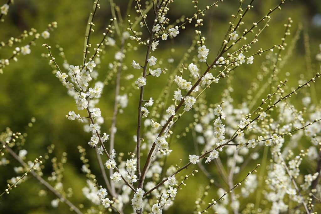 富士市のカッティングステッカー製作専門店｜2026年度年末年始休業のお知らせ