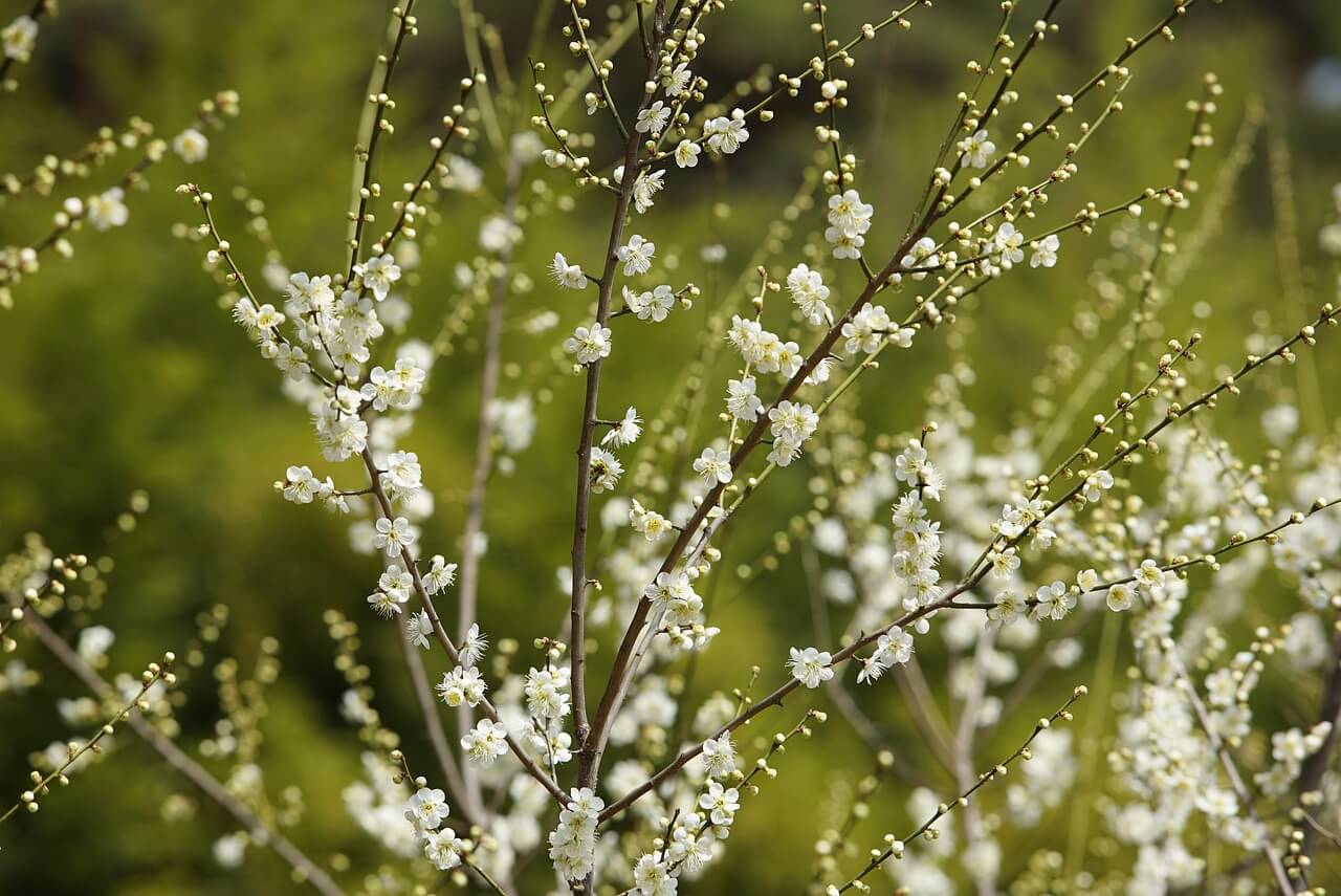 富士市のカッティングステッカー製作専門店|2026年度年末年始休業のお知らせ